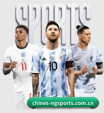 NG体育 APP